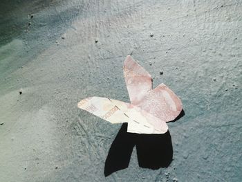 Butterfly shaped paper cutting on ground