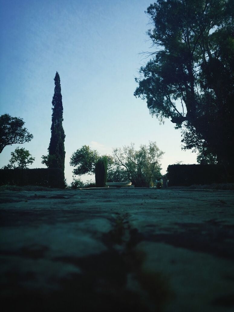 tree, clear sky, built structure, architecture, sky, building exterior, tranquility, surface level, sunlight, growth, shadow, nature, copy space, day, outdoors, no people, blue, tranquil scene, stone material, low angle view