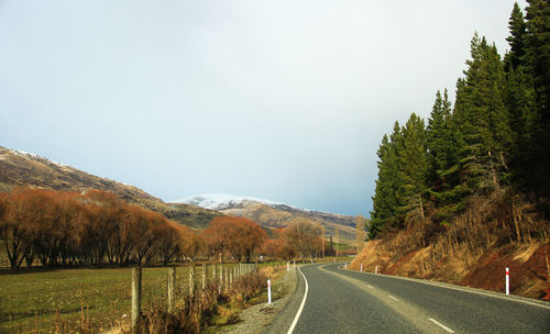 Road by trees against sky