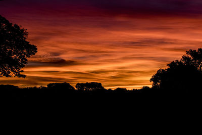 Silhouette trees against sky during sunset