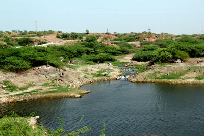 Scenic view of river amidst trees against clear sky