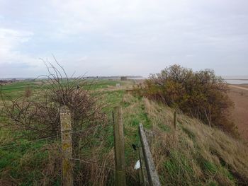 Scenic view of agricultural field against sky