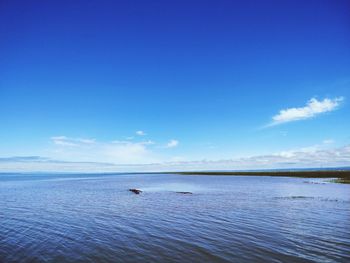 Scenic view of sea against blue sky