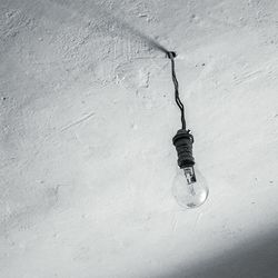 Close-up of food on table