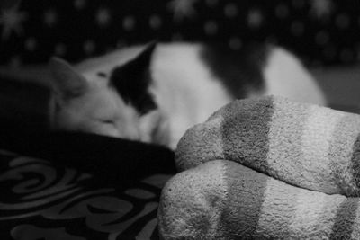 Close-up of man on bed