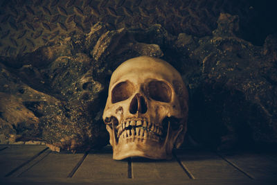 Close-up of human skull