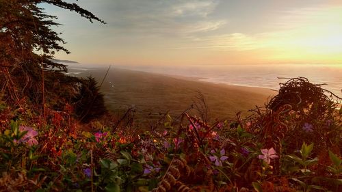 Scenic view of sea against sky during sunset