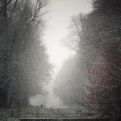 View of bare trees on landscape against sky