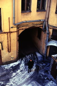 High angle view of dog in abandoned building