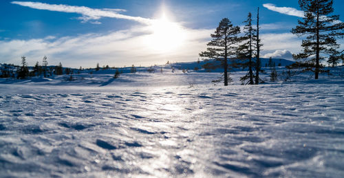 Snow covered field against sky