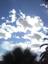 Low angle view of silhouette trees against sky