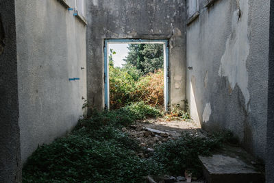 View of abandoned building