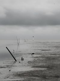 Group of people on beach