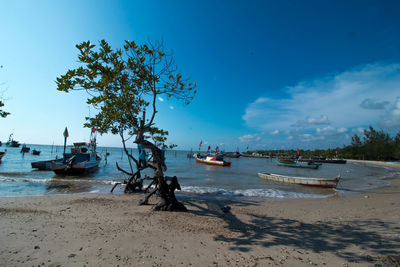 Boats moored on beach against sky