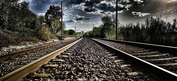 Railroad tracks by trees against sky