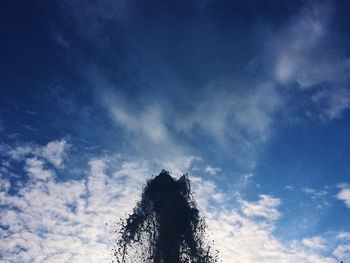 Low angle view of tree against sky