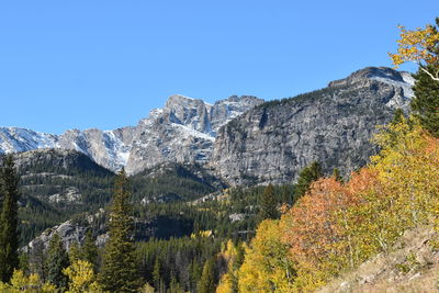 Scenic view of forest against clear blue sky