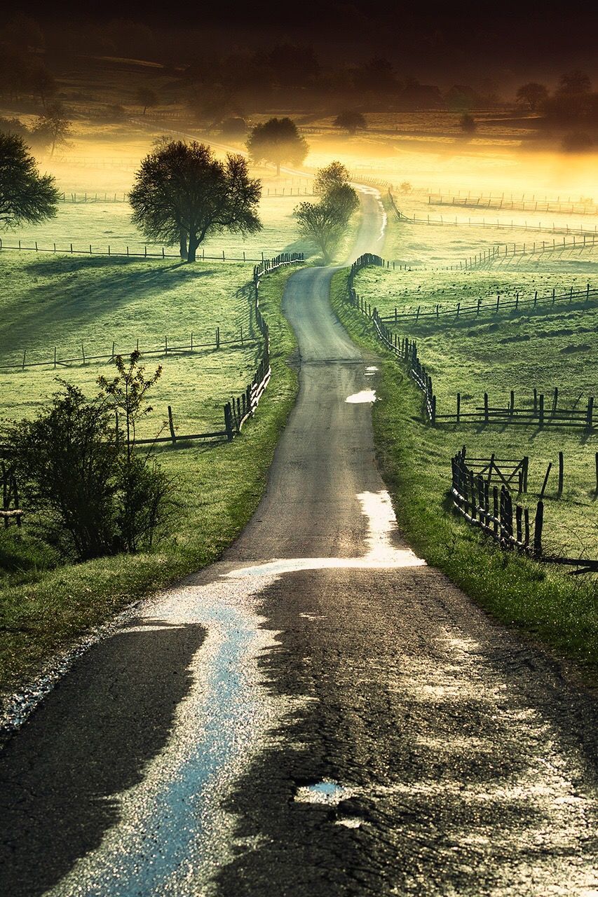 road, empty, tree, landscape, tranquil scene, transportation, grass, the way forward, tranquility, long, scenics, field, countryside, non-urban scene, nature, outdoors, country road, beauty in nature, narrow, curve, sky, solitude, empty road, remote, lens flare, rural scene