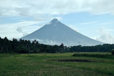 Scenic view of field against sky