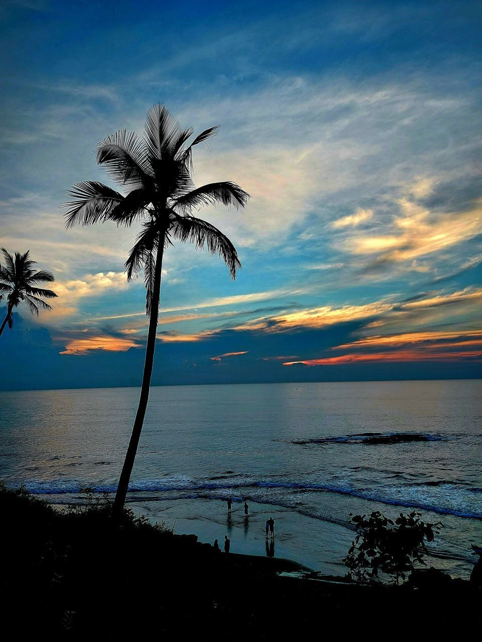 SILHOUETTE TREE BY SEA AGAINST SKY AT SUNSET