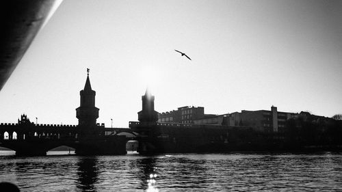 Birds flying over river and buildings against clear sky