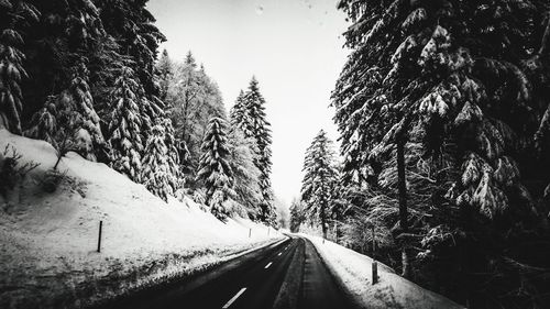 Road amidst trees against clear sky