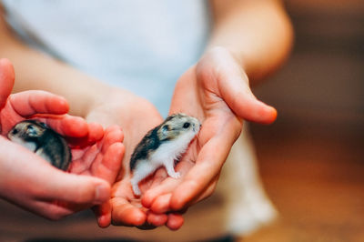 Close-up of hands holding baby hand