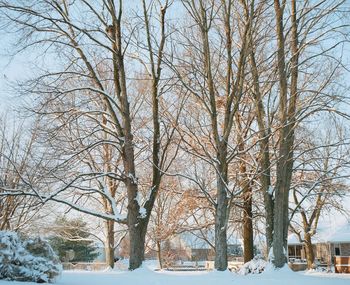 Snow covered landscape