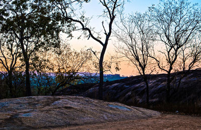 Bare trees on landscape against sky during sunset