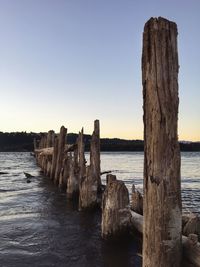 Wooden posts in sea against clear sky