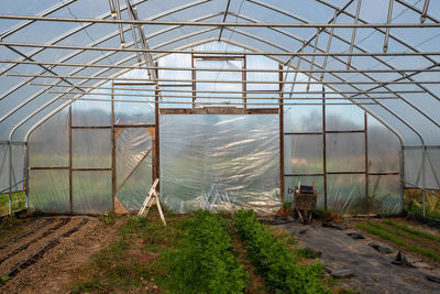 Irrigation equipment and step ladder in vegetable greenhouse interior 
