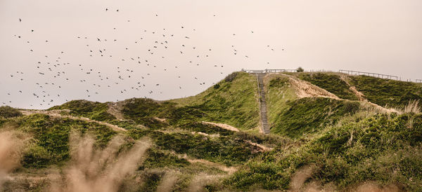 Dune landscape on the north sea beach