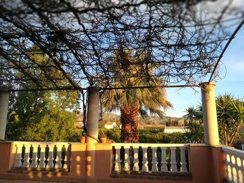 Bare trees against sky
