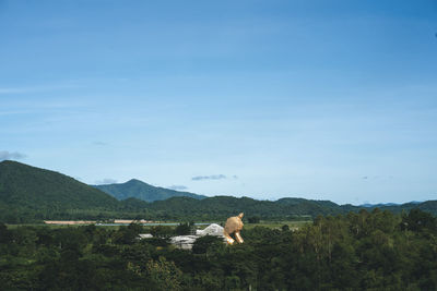 View of a dog on landscape