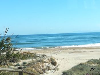 Scenic view of beach against clear sky