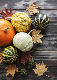Fall composition with multi color pumpkins on rustic background