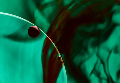 Close-up of water drop on leaf