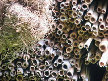 Full frame shot of hotel for insects