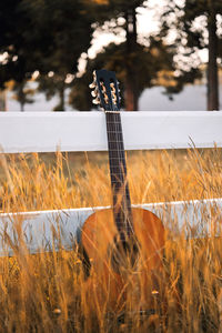 Guitar on field