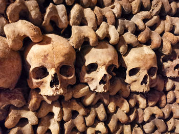 Full frame shot of human skull