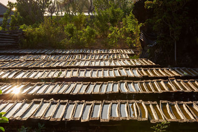 Sunlight falling on roof of building in forest