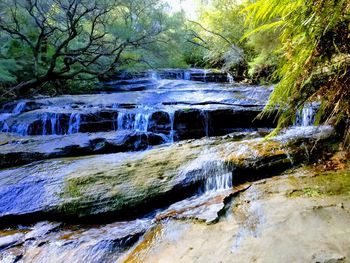 Scenic view of waterfall in forest