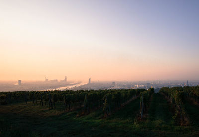 Scenic view of field against clear sky
