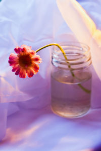 Close-up of flower on glass table