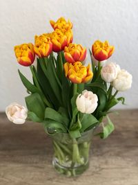 Close-up of tulips in vase