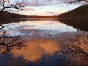 Reflection of trees in lake