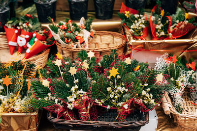 Close-up of potted plants