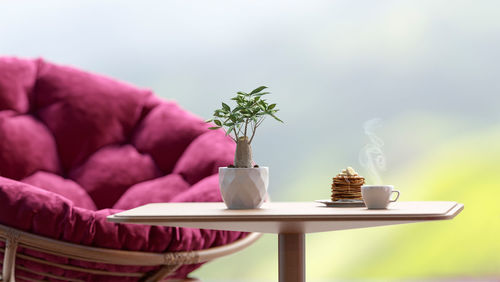 Potted plant on table at home