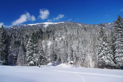 Snow covered landscape against sky