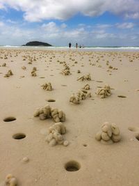 Scenic view of beach against sky